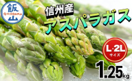 [2026年発送 先行予約]信州産 アスパラガス L・2Lサイズセット 1.25kg[出荷時期:2026年5月下旬〜](Ae-003) | 信州 飯山 アスパラ 春アスパラ 露地栽培 おすすめ