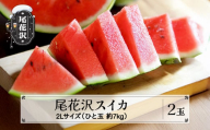 先行予約 尾花沢スイカ 秀品 2Lサイズ 約7㎏×2玉 7月中旬～8月中旬頃発送 スイカ すいか 西瓜 尾花沢すいか 2025年産 令和7年産 佐竹物産 sb-su2xx2