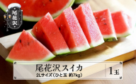 先行予約 尾花沢スイカ 秀品 2Lサイズ 約7㎏×1玉 7月中旬～8月中旬頃発送 スイカ すいか 西瓜 尾花沢すいか 2025年産 令和7年産 佐竹物産 sb-su2xx1