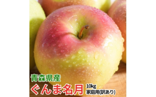 ＜26年11月より順次発送＞平均糖度13度以上! ぐんま名月 約10kg 訳あり【1609635】
