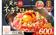 【9月発送】 天然 マグロ ネギトロ まぐろたたき 冷凍 60g 10パック 計600g 小分け 個包装 FY02 [トライ産業 静岡県 吉田町 22424331-9gatsu] まぐろ 鮪 ねぎとろ まぐろのたたき マグロたたき ネギとろ ねぎトロ