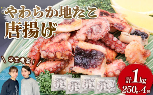 やわらか 地たこ 唐揚げ 250g×4 (計1kg) カット済み ヤナギダコ 冷凍 大船渡市