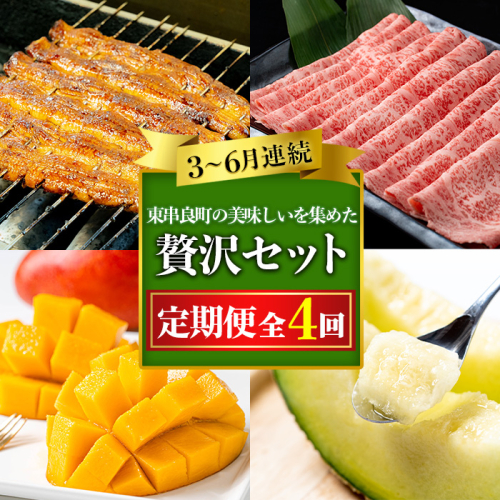 【1906103b】東串良町の美味しい！を贅沢に集めた4回定期便(3・4・5・6月) うなぎ 高級 ウナギ 鰻 国産 蒲焼 蒲焼き たれ 肉 牛肉 ロース しゃぶしゃぶ すき焼き マンゴー メロン アールスメロン 鹿児島 ふるさと 【東串良町】 2072742 - 鹿児島県東串良町