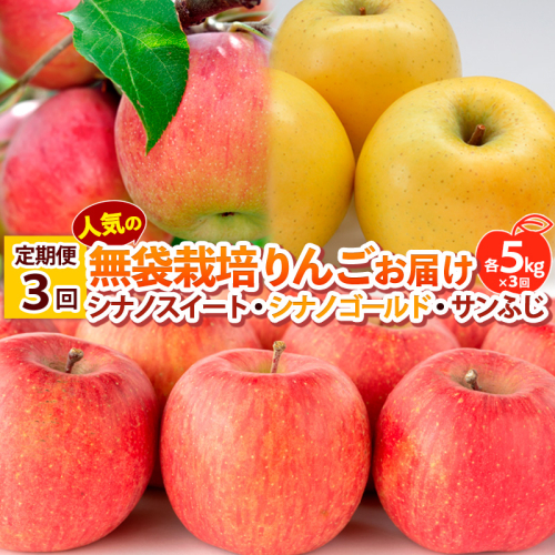 【定期便3回】 人気の無袋栽培りんごお届け 各5kg×3回(シナノスイート、シナノゴールド、サンふじ)  FY25-014 2072833 - 山形県山形市