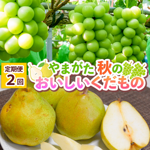 【定期便2回】 やまがた 秋のおいしいくだもの FY25-015 2072834 - 山形県山形市