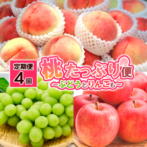 【定期便4回】桃たっぷり便～ぶどうとりんごも～ 【令和8年産先行予約】FS25-689 2072835 - 山形県山形市