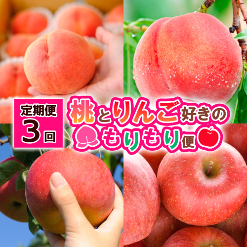 【定期便3回】桃とりんご好きのもりもり便 FY25-017 2072836 - 山形県山形市