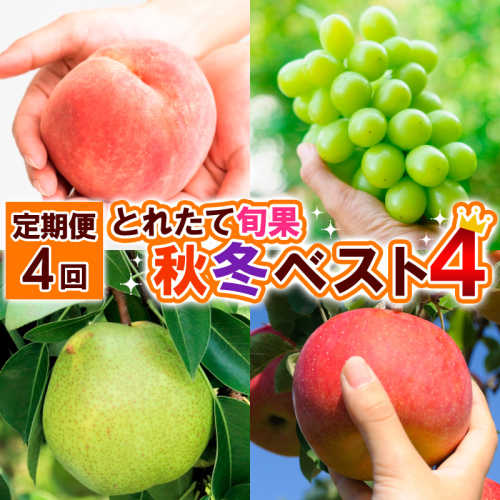【定期便4回】とれたて旬果 秋冬ベスト4 【令和8年産先行予約】FS25-690 2072838 - 山形県山形市