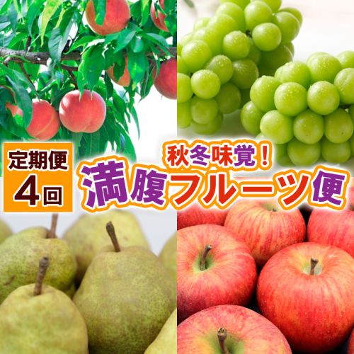 【定期便4回】秋冬味覚！満腹フルーツ便 FY25-020 2072839 - 山形県山形市