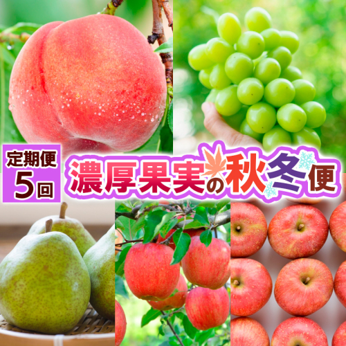 【定期便5回】濃厚果実の秋冬便 【令和8年産先行予約】FS25-692 2072840 - 山形県山形市