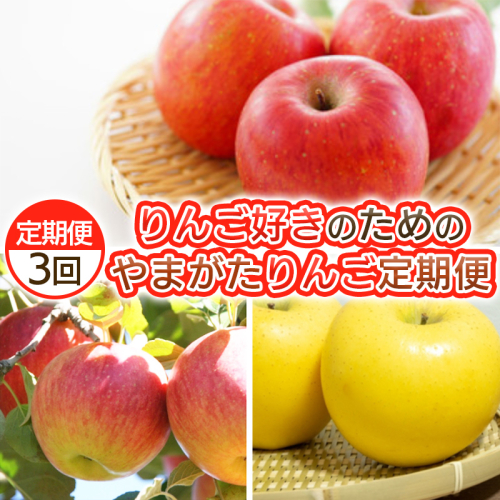 【定期便3回】りんご好きのためのやまがたりんご定期便 FY25-035 2072841 - 山形県山形市