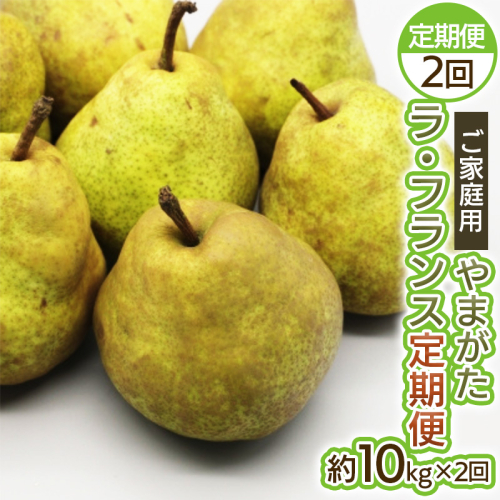 【定期便2回】ご家庭用 やまがたラ・フランス10kg×2回 FY25-036 2072842 - 山形県山形市