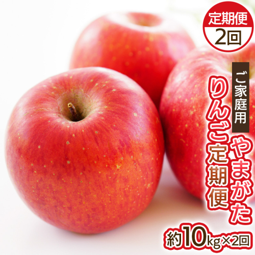 【定期便2回】ご家庭用 やまがたりんご定期便 FY25-037 2072843 - 山形県山形市