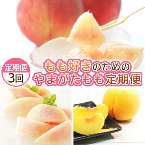 【定期便3回】もも好きのためのやまがたもも定期便 FY25-040 2072846 - 山形県山形市