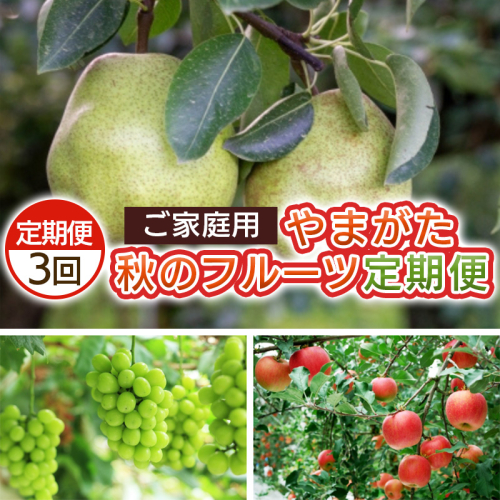【定期便3回】ご家庭用 やまがた秋のフルーツ定期便 FY25-041 2072847 - 山形県山形市