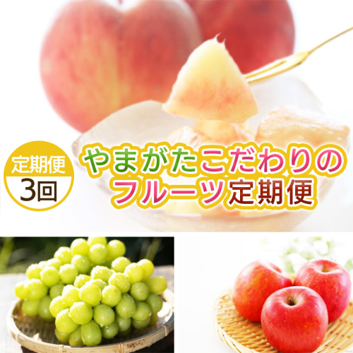 【定期便3回】やまがた こだわりのフルーツ定期便 FY25-042 2072848 - 山形県山形市