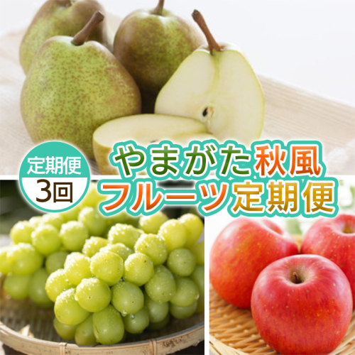 【定期便3回】やまがた 秋風フルーツ定期便 【令和8年産先行予約】FS25-697 2072849 - 山形県山形市