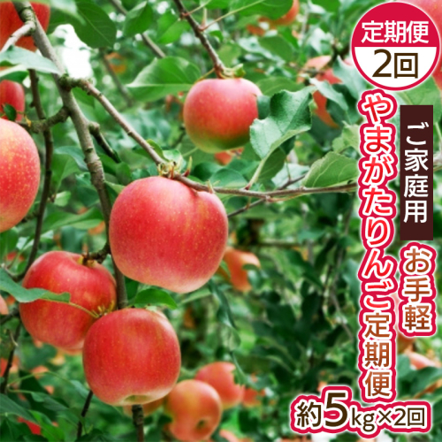 【定期便2回】お手軽 ご家庭用 やまがたりんご定期便 FY25-046 2072852 - 山形県山形市