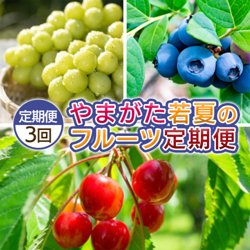 【定期便3回】やまがた 若夏のフルーツ定期便 FY25-048 2072854 - 山形県山形市