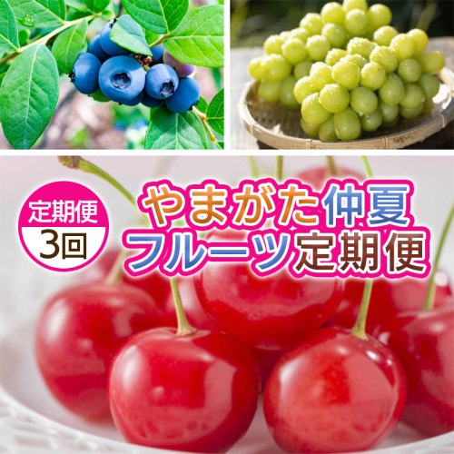 【定期便3回】やまがた　仲夏フルーツ定期便 FY25-049 2072855 - 山形県山形市