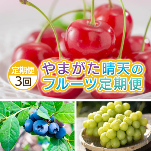 【定期便3回】やまがた 晴天のフルーツ定期便 FY25-050 2072856 - 山形県山形市