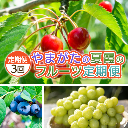 【定期便3回】やまがた　夏霞のフルーツ定期便 FY25-051 2072857 - 山形県山形市
