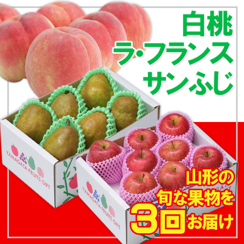 【定期便3回】☆フルーツ王国山形☆白桃・ラフランス・りんご  FY25-052 2072858 - 山形県山形市