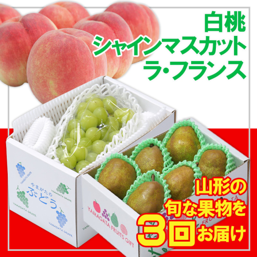 【定期便3回】☆フルーツ王国山形☆白桃・シャインマスカット・ラフランス FY25-053 2072859 - 山形県山形市