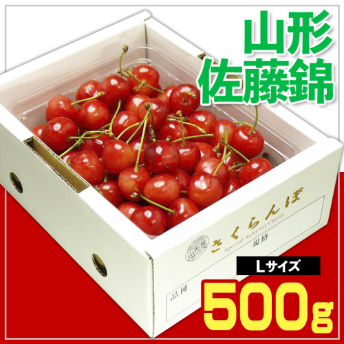 ☆山形さくらんぼ 佐藤錦 500g☆ Lサイズ バラ詰 FY25-063 2072879 - 山形県山形市