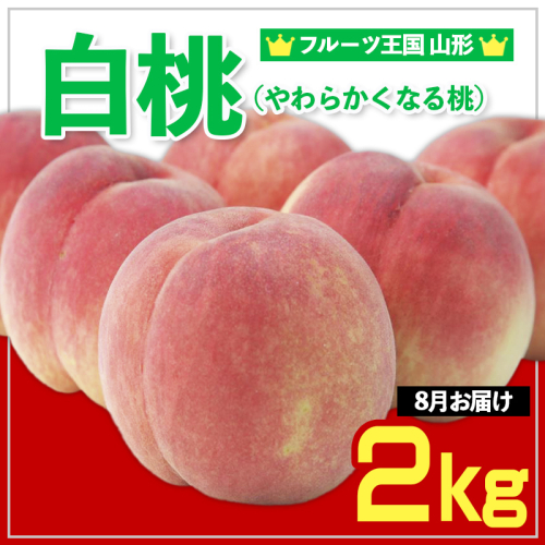☆フルーツ王国山形☆ 白桃 秀品 2kg [やわらかくなる桃] 8月お届け  FY25-064 2072883 - 山形県山形市