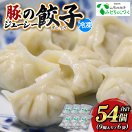 豚のジューシー餃子 9個入り×6袋(計54個) FY25-006