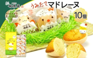 胡蝶庵　うみたてマドレーヌ　10個セット