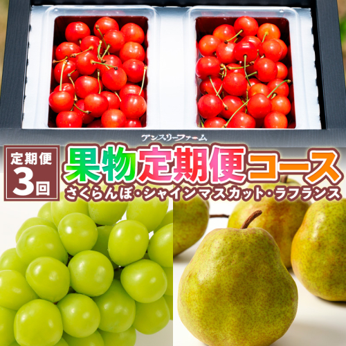 【定期便3回】果物定期便コース(さくらんぼ、シャインマスカット、ラフランス)  FY25-025 2072941 - 山形県山形市
