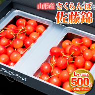 さくらんぼ 「佐藤錦」500g Lサイズ以上 山形産 FY25-027