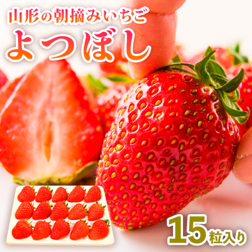 山形の朝摘みいちご よつぼし (15粒入り) FY25-029 2072945 - 山形県山形市