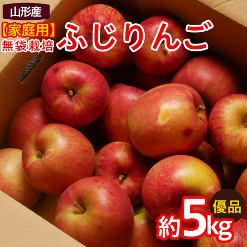【家庭用】ふじりんご 優品 約5kg入り【令和8年産先行予約】FS25-760 2072948 - 山形県山形市