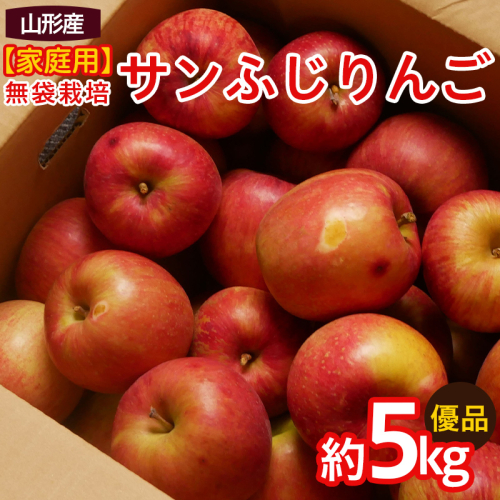 【家庭用】ふじりんご 優品 約5kg入り FY25-066 2072948 - 山形県山形市