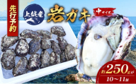 【先行予約】上越産天然岩ガキ　中サイズ（約220～250g）10～11個　2025年7月中旬以降順次発送