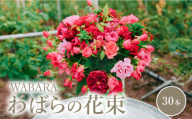 わばらの花束30本　【1月お届け】 WABARA  摘みたて ブーケ 花束 Rose Universe