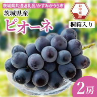 【先行予約】【お中元】ピオーネ 桐箱入り 2房（茨城県共通返礼品：かすみがうら市）（CD186）