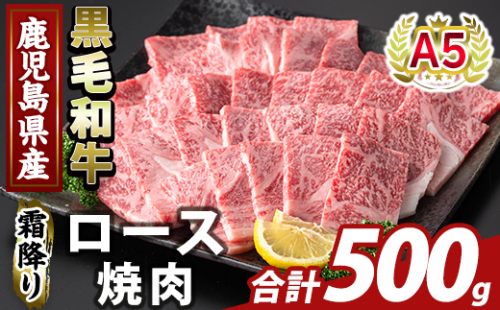 K-482-B 鹿児島県産A５等級黒毛和牛霜降り上ロース焼肉(計500g)【ふるさと産直バザール】霧島市 牛肉 国産 鹿児島県産 ロース 焼肉 肉 精肉 2073416 - 鹿児島県霧島市