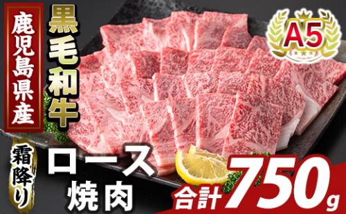 K-482-C 鹿児島県産A５等級黒毛和牛霜降り上ロース焼肉(計750g)【ふるさと産直バザール】霧島市 牛肉 国産 鹿児島県産 ロース 焼肉 肉 精肉 2073418 - 鹿児島県霧島市