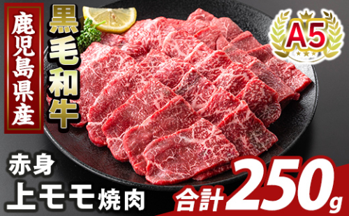 K-483-A 鹿児島県産A5等級黒毛和牛赤身上モモ焼肉(計250g)【ふるさと産直バザール】霧島市 牛肉 国産 鹿児島県産 モモ 焼肉 肉 精肉 2073419 - 鹿児島県霧島市