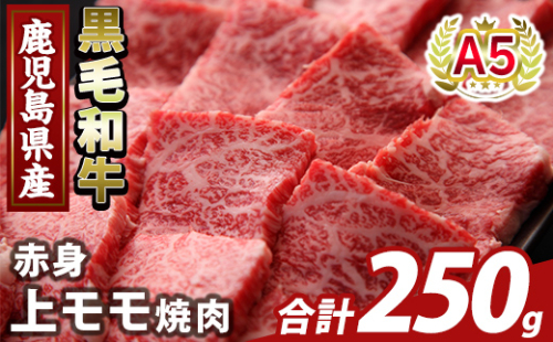 K-483-A 鹿児島県産A5等級黒毛和牛赤身上モモ焼肉(計250g)【KNOT】霧島市 牛肉 国産 鹿児島県産 モモ 焼肉 肉 精肉 2073419 - 鹿児島県霧島市