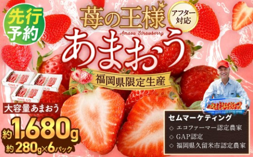 【予約受付】選べる大容量あまおう 1,680g 大粒 不揃い 選べる大容量あまおう （2L,グランデ,DX デラックス）減農薬 あまおう いちご 高級 いちごあまおう イチゴ 苺 フルーツ 果物 ふるさと納税くだもの amaou 福岡県 【2027年1月上旬～下旬発送予定】 2073442 - 福岡県岡垣町