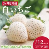 【先行予約】【3か月定期便】白いちご 200g × 4パック 【2026年1月から3か月連続で発送】 （茨城県共通返礼品：石岡市産）(CD097)