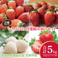 【先行予約】【5か月定期便】いちご品種おまかせセット（250g×4パック）【2025年12月から5か月連続で発送】（茨城県共通返礼品：石岡市産）(CD100)