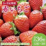 【先行予約】【3か月定期便】赤いちご12粒【2026年1月から3か月連続で発送】 （茨城県共通返礼品：石岡市産）(CD098)