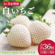 【先行予約】【3か月定期便】白いちご12粒【2026年1月から3か月連続で発送】 （茨城県共通返礼品：石岡市産）(CD099)