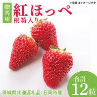 【先行予約】紅ほっぺいちご　桐箱入り　12粒（茨城県共通返礼品：石岡市産）※2025年12月より発送開始（CD101）